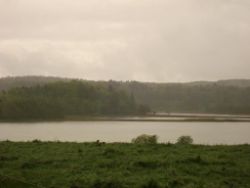 2013-05-19_Iffeldorf_Aiderbichl (17).JPG